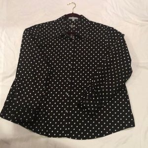 Foxcroft wrinkle free button down shirt